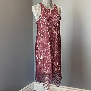 Express Lace Shift Dress